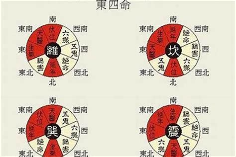 东四命住宅|阳宅风水：东四命入户门的最佳方位！